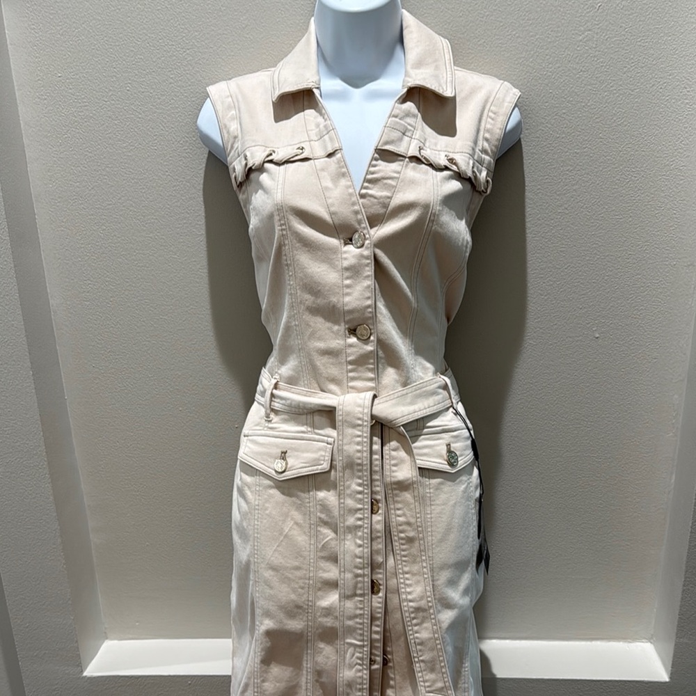 Denim sheath Sleeveless Button-Down Dress